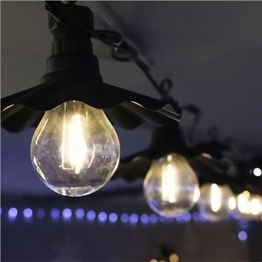 Papaya Bulb Edison Party Light